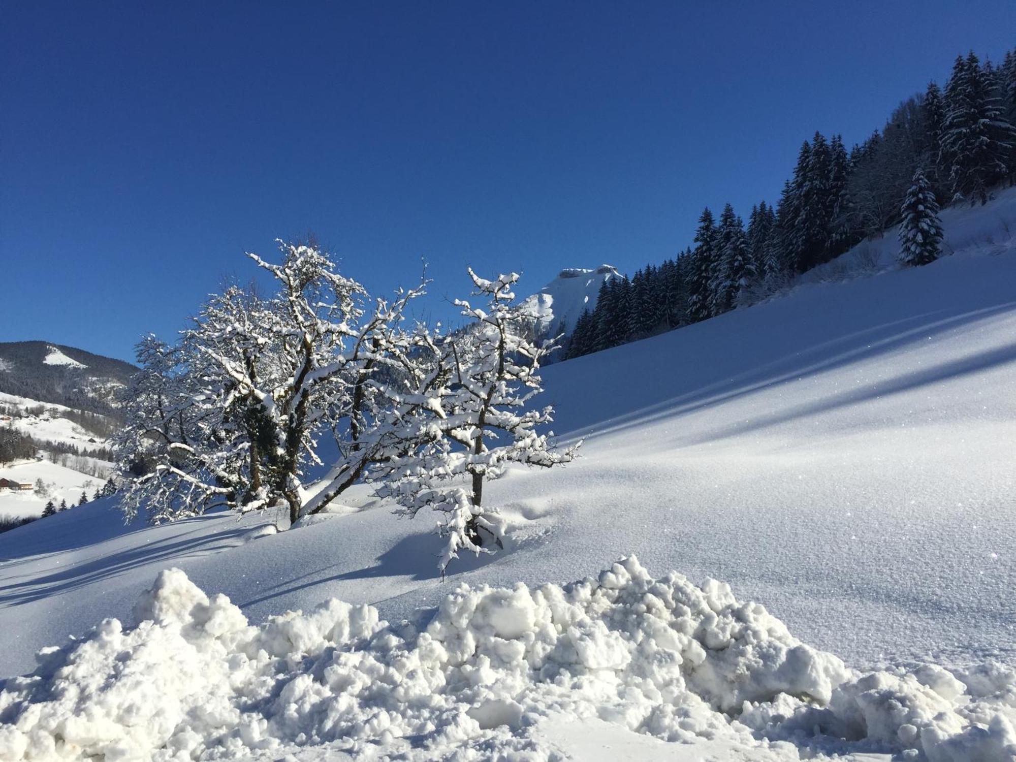 Villa Reithuette Krispl Esterno foto